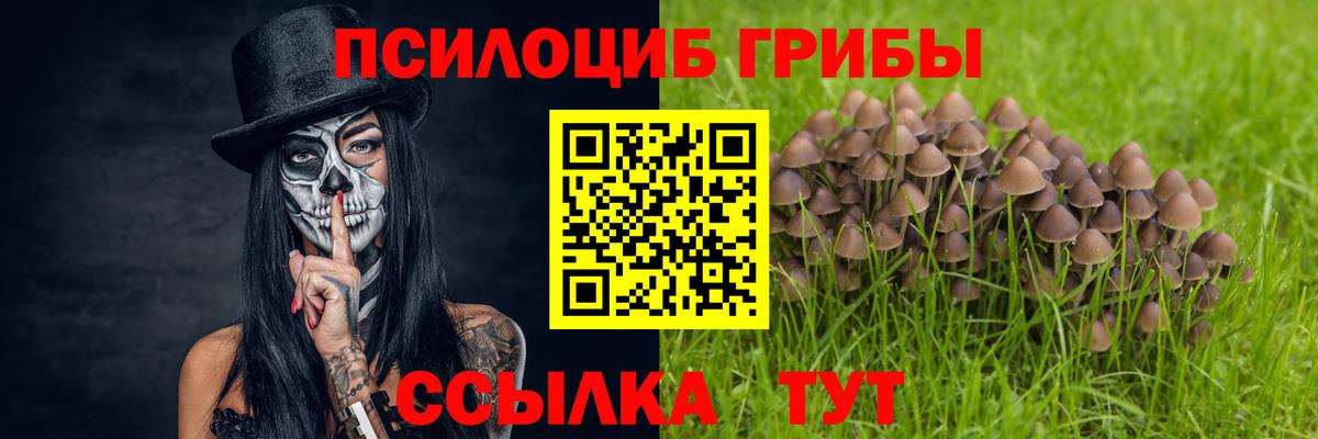 Старая Купавна  Галлюциногенные грибы ЛСД  Вход с VPN 